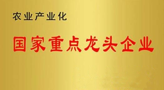 國(guó)家重點(diǎn)龍頭企業(yè)！山東三星集團(tuán)連續(xù)上榜